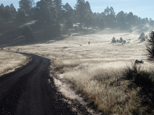 GDMBR: Sunlight refracting in the feather grass dew.